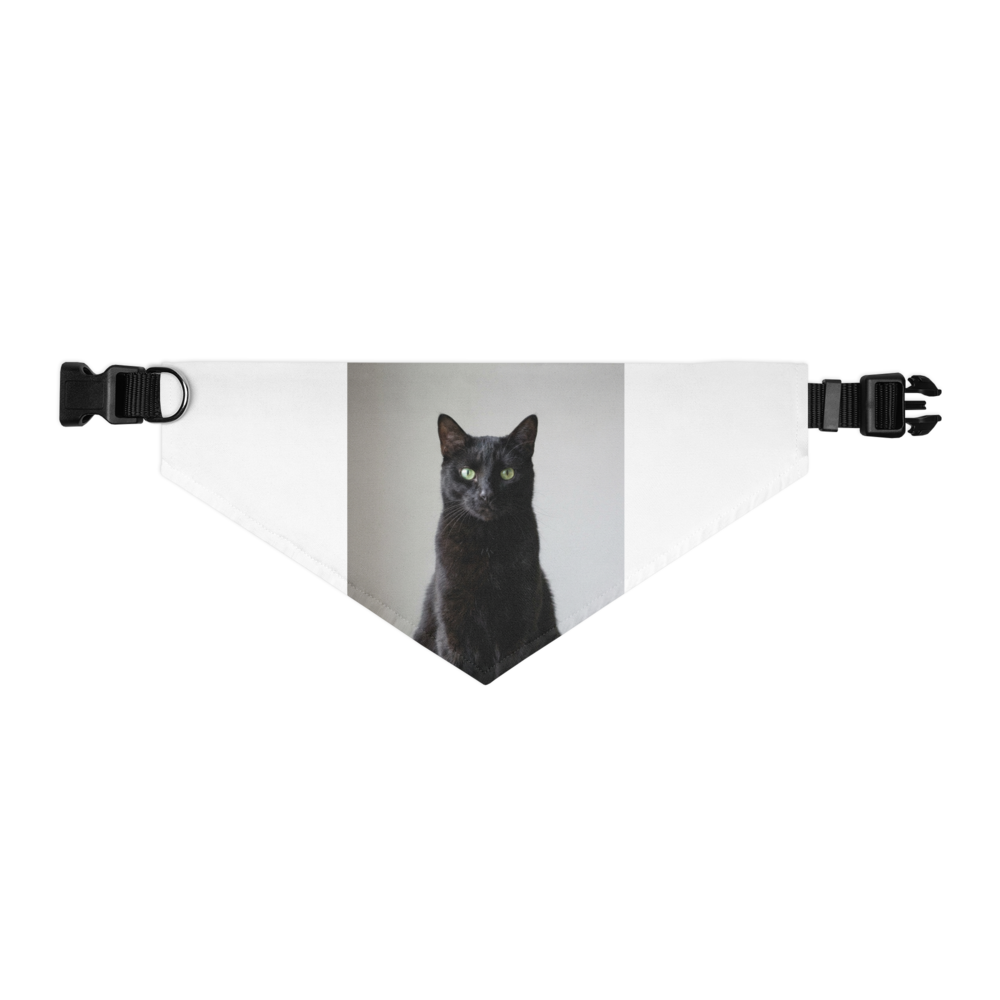 Custom Pet Photo Pet Bandana — Color: Black, Size: XL