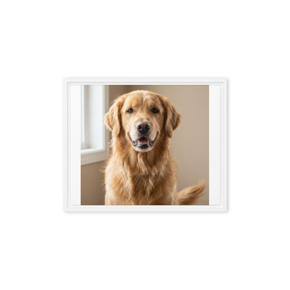 Custom Pet Photo Framed Canvas, shown with an example photo