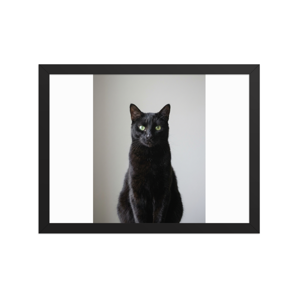 Custom Pet Photo Framed Poster, shown with an example photo