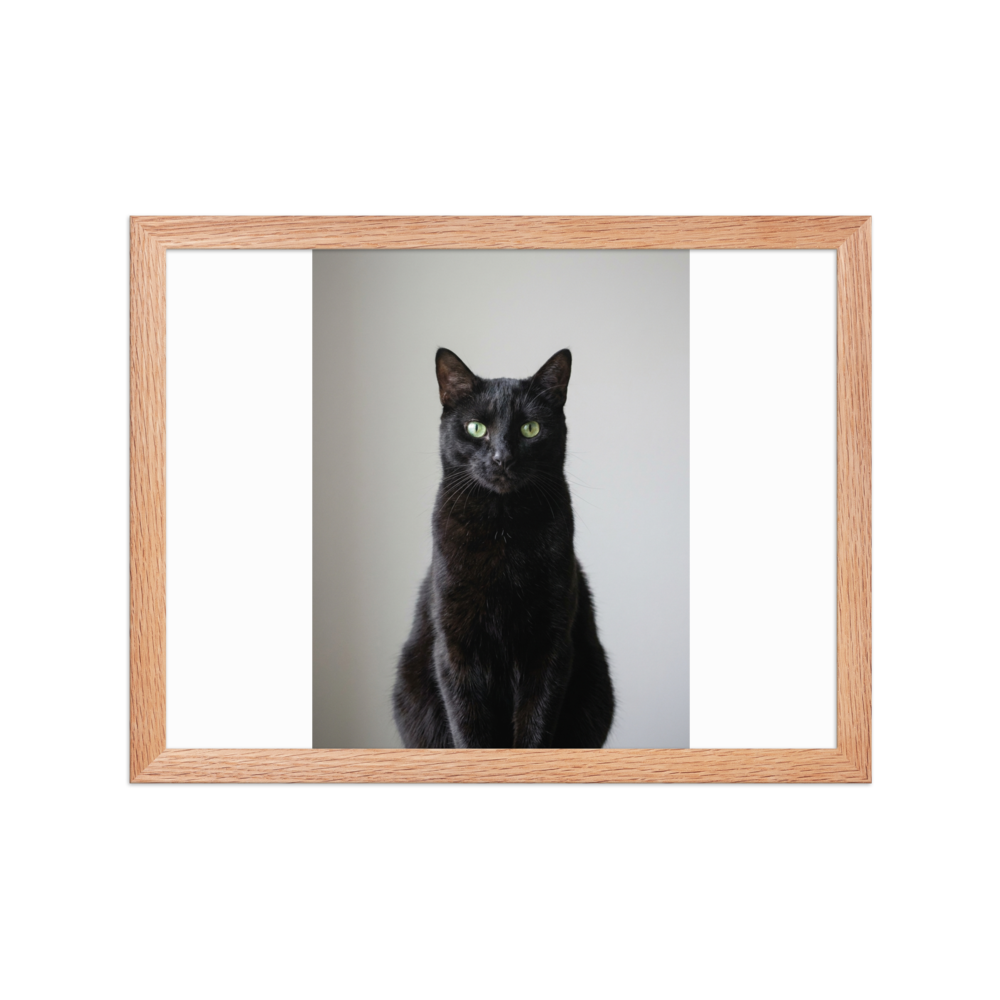 Custom Pet Photo Framed Poster, shown with an example photo