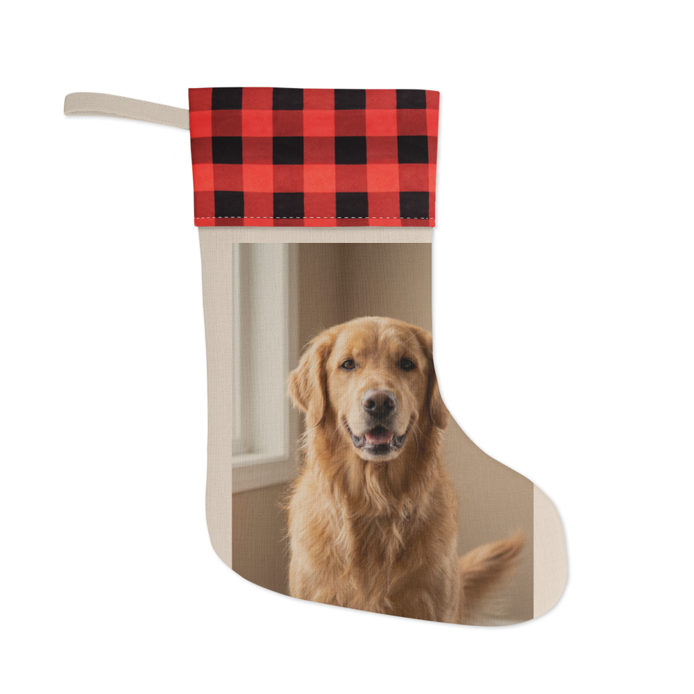Custom Pet Photo Christmas Stocking, shown with an example photo